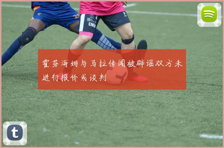 霍芬海姆与马拉传闻被辟谣双方未进行报价或谈判
